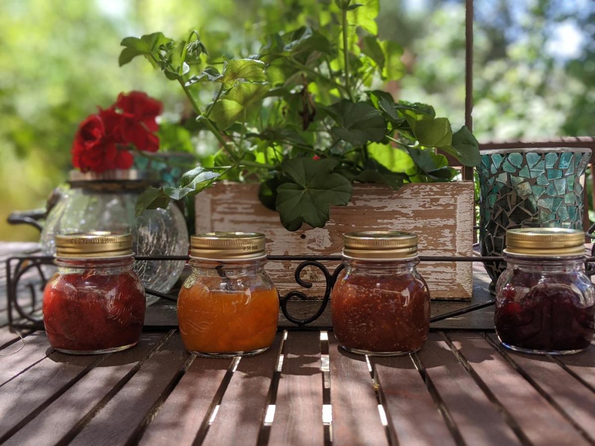 Les Jardins D'Holi Proche Uzes Acomodação com café da manhã Garrigues-et-Sainte-Eulalie Exterior foto