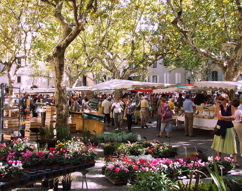 Les Jardins D'Holi Proche Uzes Acomodação com café da manhã Garrigues-et-Sainte-Eulalie Exterior foto