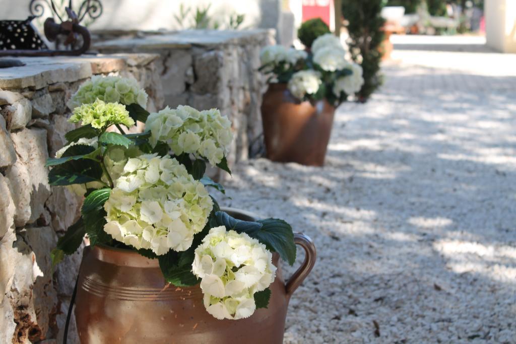 Les Jardins D'Holi Proche Uzes Acomodação com café da manhã Garrigues-et-Sainte-Eulalie Exterior foto